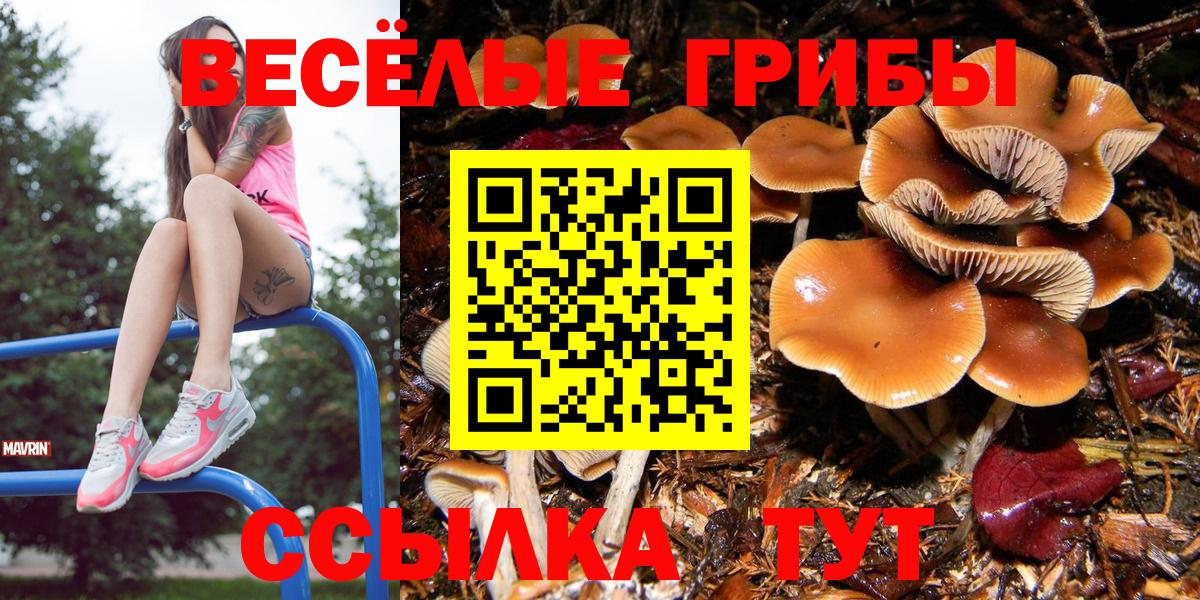 Ржев  Галлюциногенные грибы ЛСД  Вход с VPN 
